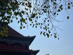 -广州莲花山旅游区