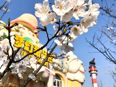 -上海海昌海洋公园