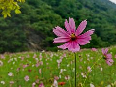 -圣莲山风景区