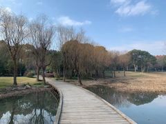 -宝界山林公园
