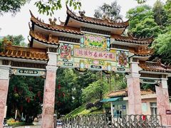 -广州市流溪河国家森林公园