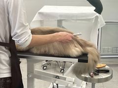 -comecome来吧宠物(奥克斯中心店)