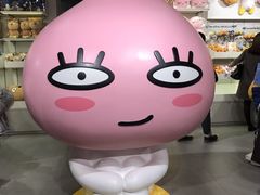 -KAKAO FRIENDS(弘大店)