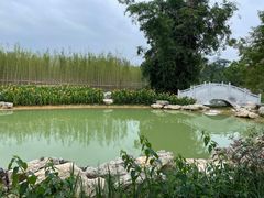 -广西壮族自治区药用植物园