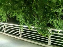 -南京眼步行桥