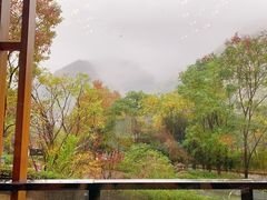 -宁海安岚·南溪阁全日餐厅