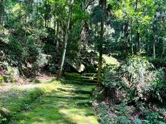 -唐崖土司城遗址