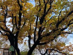 -白草畔自然风景区