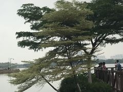 -海珠湖公园