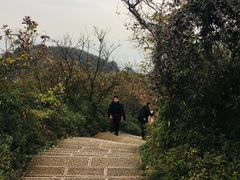 -杭州半山国家森林公园