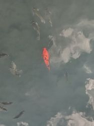 -珍珠泉水上世界