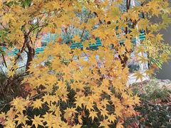 -宝界山林公园