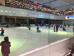 -TheRink大零溜冰场(IFS国金中心店)