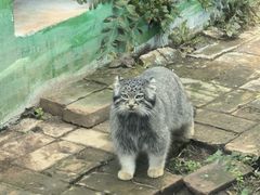 -青藏高原野生动物园