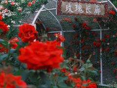-太阳宫公园
