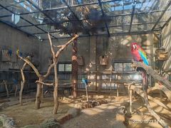 -大连森林动物园