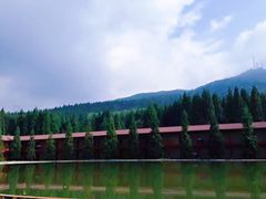 -武陵山森林公园