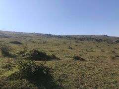 -大姆山草场