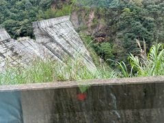 -雁南飞茶田景区