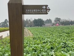 -中国天府农业博览园