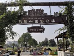 -田园东方蜜桃村的田野营地