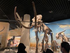 -国家自然博物馆