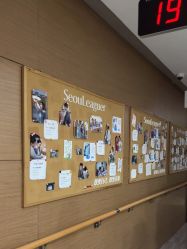 -上海首尔丽格医疗美容医院