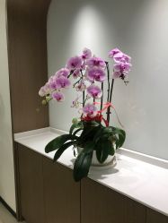 -丰联丽格医疗美容·联合丽格眼整形中心