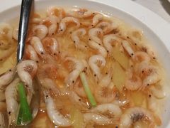 太湖白虾-太湖饭店·寄畅轩中餐厅