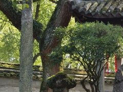 -天一阁博物院