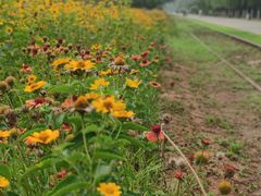 -永定河休闲森林公园