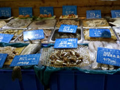android_upload_pic-双合园·海鲜水饺青岛菜(上清路店)