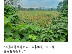 -道林古镇