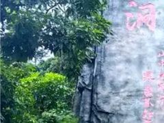 -东莞市大岭山森林公园