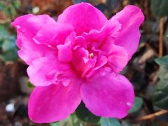 -双龙商场(环城南路店)