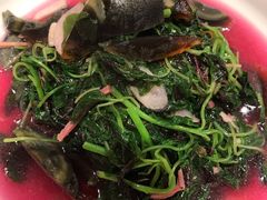 -老吉士酒家(天平路店)