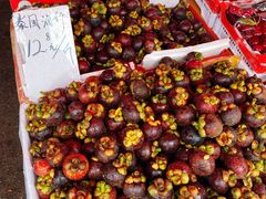 -红星农博物流中心