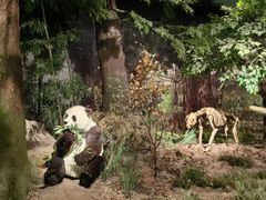 -湖南省地质博物馆