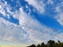 -天津东丽湖风景区