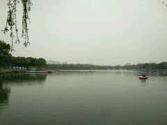 -昆山城市生态森林公园