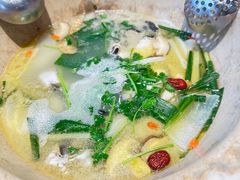 -七采菌园·野生菌石锅鱼(环城北路店)