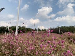 -沈阳植物园