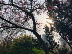 -苏州河梦清园环保主题公园