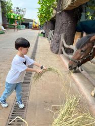 -宝燕乐园(闵行旗舰店)