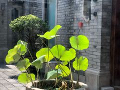 -糖房咖啡(南锣鼓巷店)