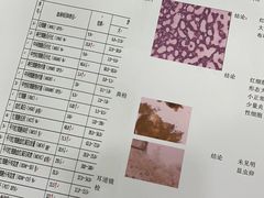 -佳雯宠物医院(金华南路分院)