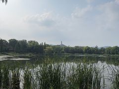 -北坞公园