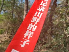 -青龙山国家森林公园