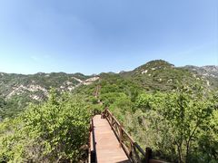 -大岭沟猕猴桃谷风景区