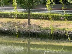 -阳澄湖半岛旅游度假区